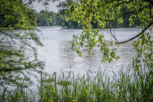 lake  water  nature