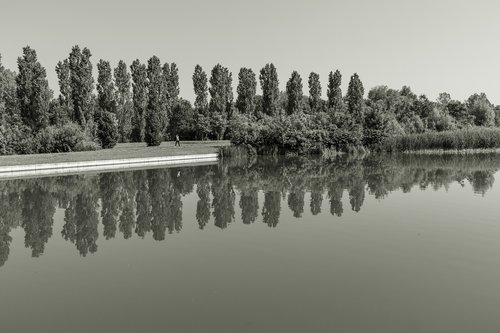 lake  water  nature