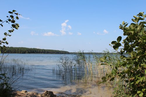 lake  belarus  nature