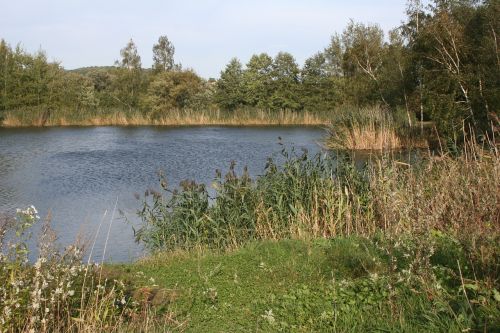 lake autumn mood walk