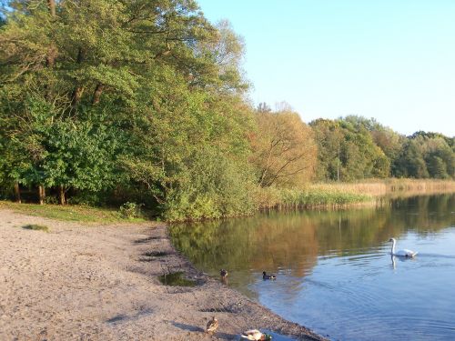 lake autumn brandenburg