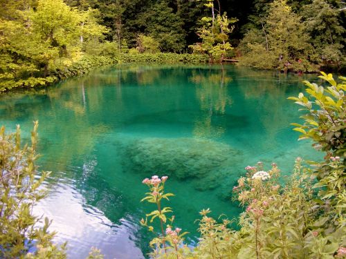 lake blue forest