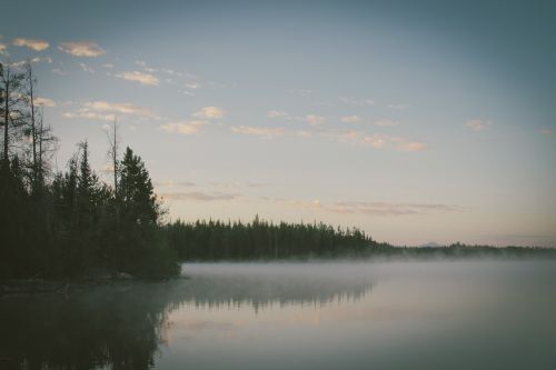 lake mist foggy