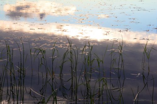 lake water calm