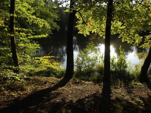 lake pond nature