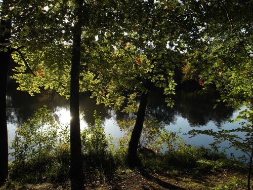 lake pond nature