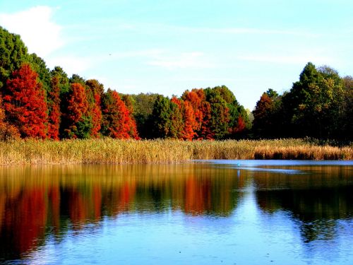 lake autumn forest