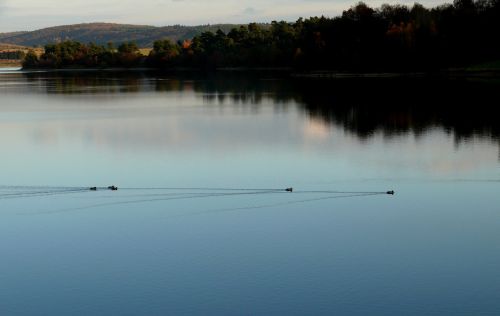 lake abendstimmung water