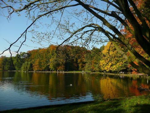 lake autumn fall