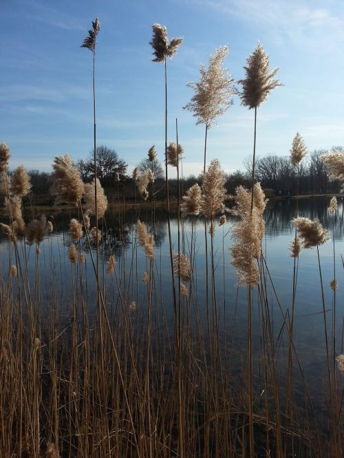 lake landscape nature