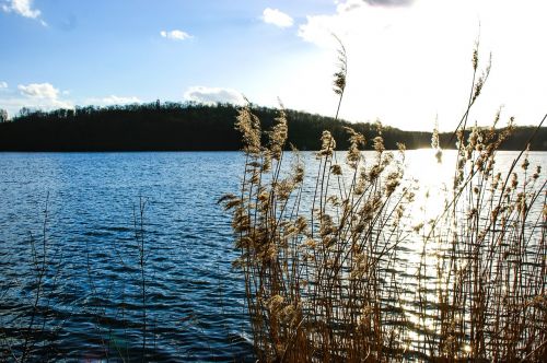 lake nature landscape