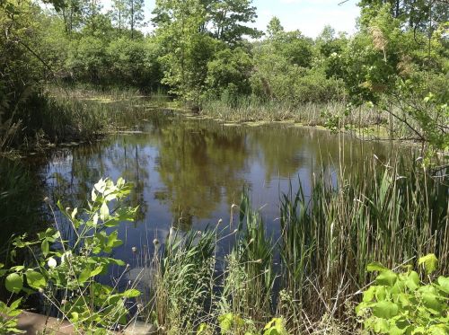 lake clean syracuse