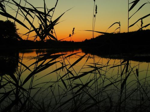 lake sunset landscape
