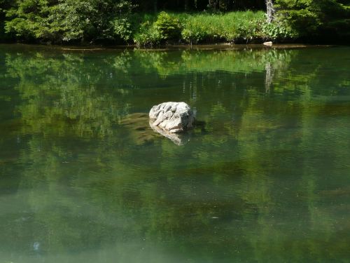 lake green water