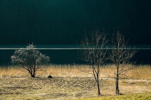 lake landscape nature