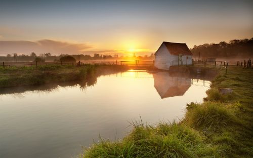 lake summer grass