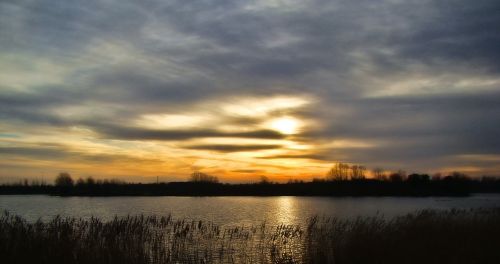 lake tree landscape