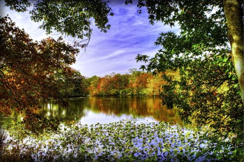 lake foliage colors