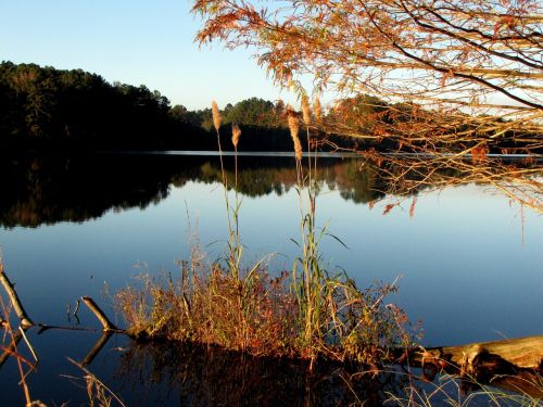 lake landscape water