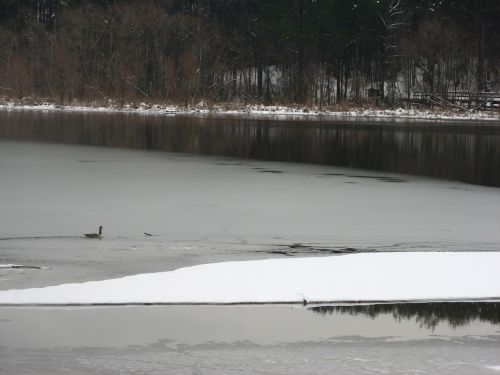 lake nature landscape