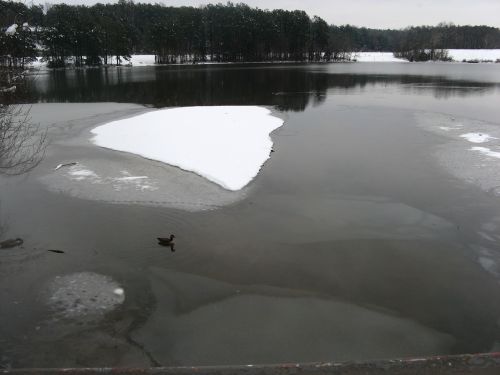 lake winter nature