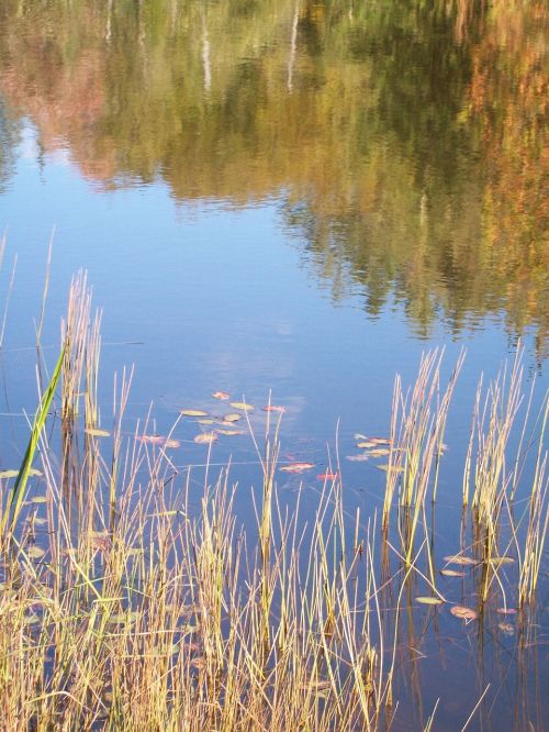 lake reflection autumn