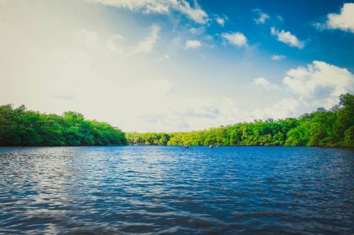 lake water sunshine