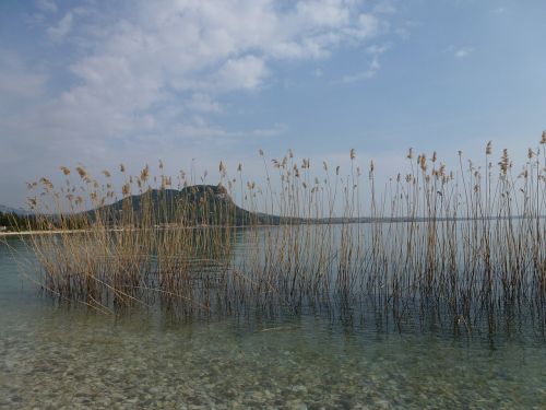 lake bank idyll