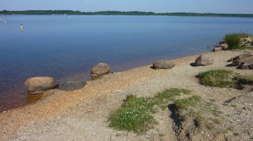 lake summer swim