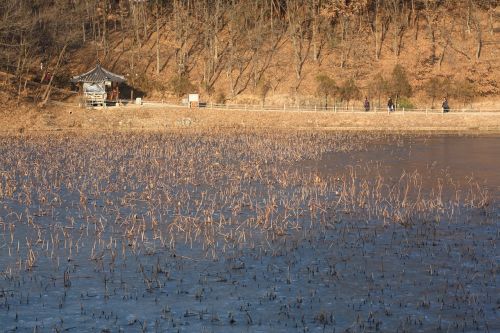 lake nature landscape