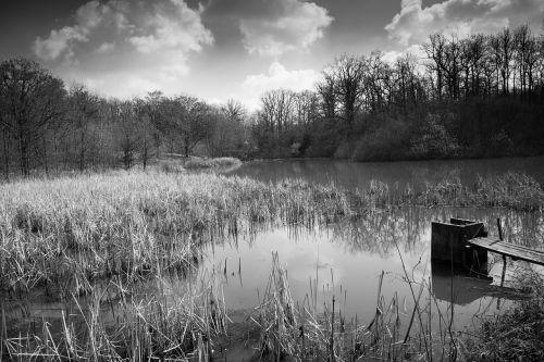 lake water landscape