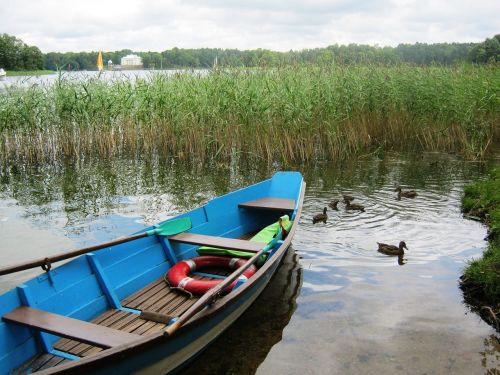 lake boat forage cap
