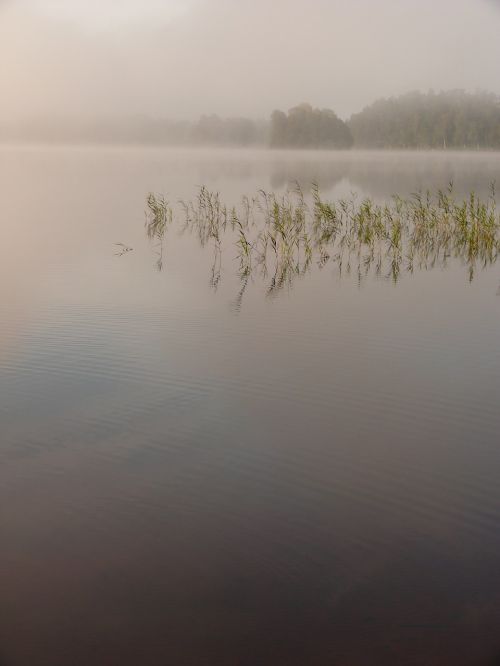 lake water nature