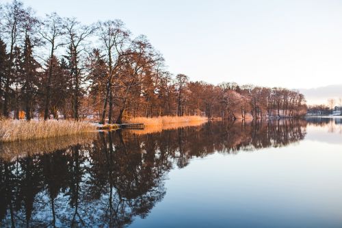 lake trees woods