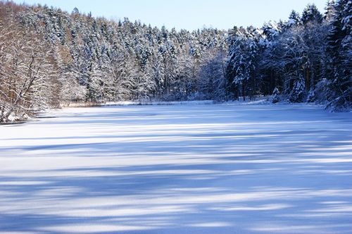 lake winter trees