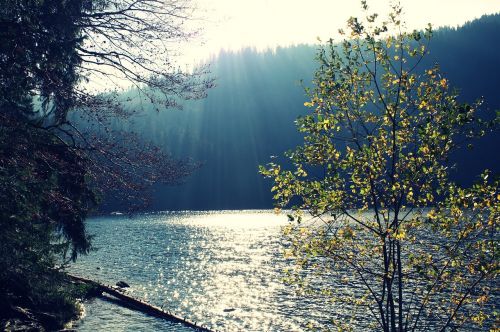 lake sun water