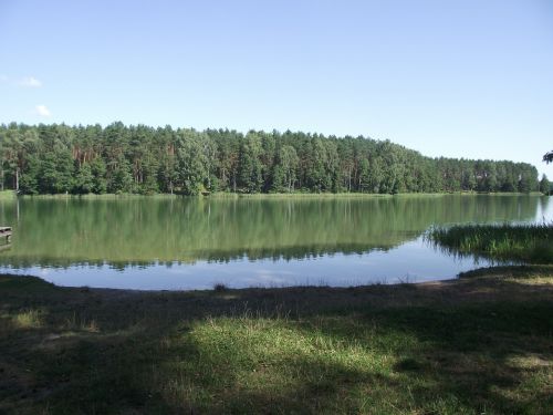 lake masuria ducks