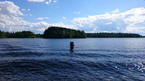 lake beach trees