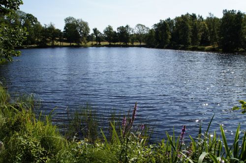 lake nature landscape