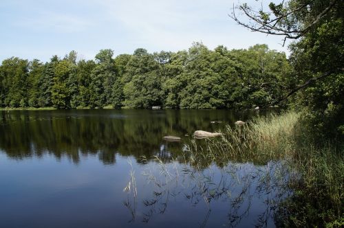 lake landscape sweden