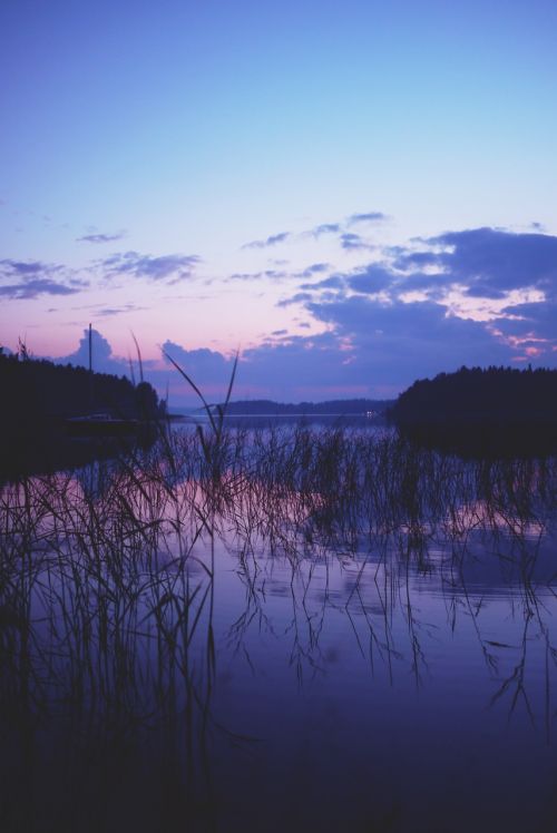 lake landscape water