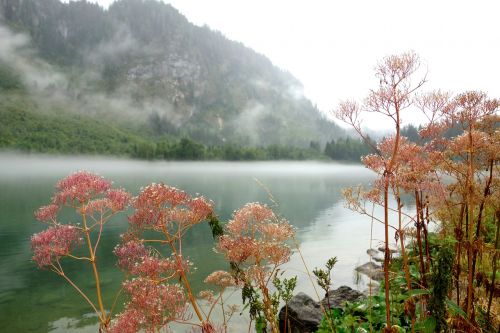 lake bergsee nature