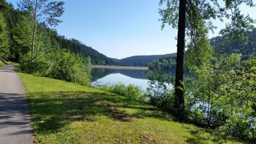 lake black forest summer