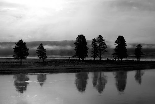 lake trees black and white