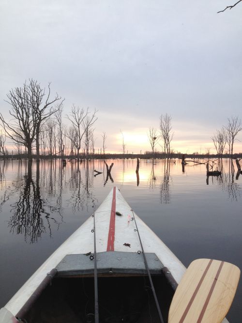 lake canoeing water