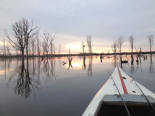 lake canoeing water