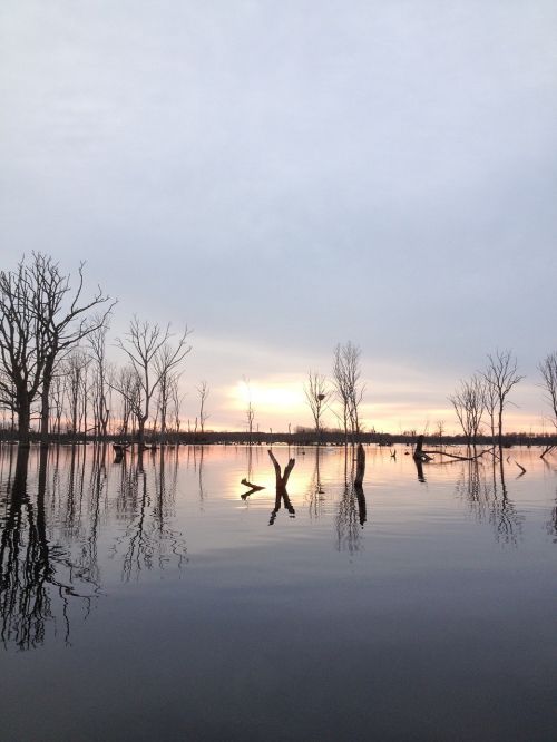 lake canoeing water