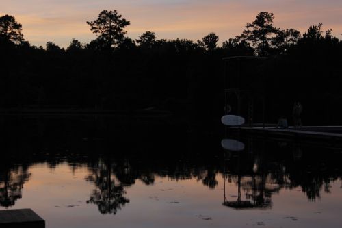 lake sunset trees