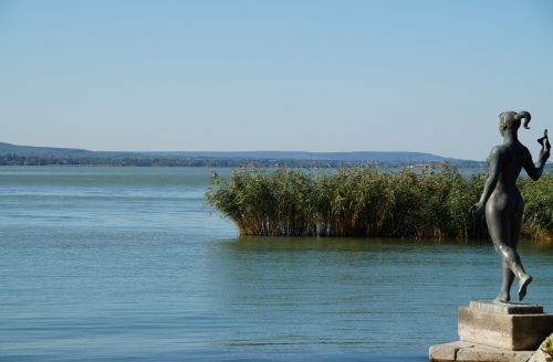 lake balaton reeds