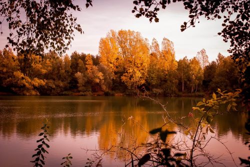 lake forest nature